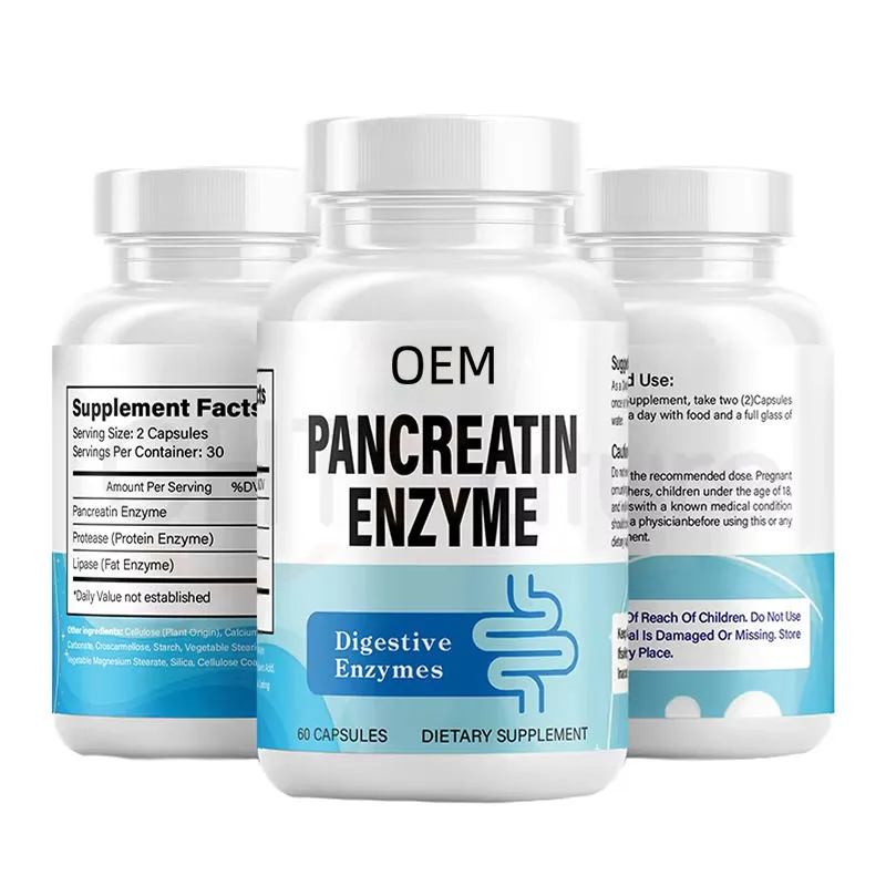 Pancreatin Digestive Enzymes with Protease and Lipase 60 Capsules 30 Servings OEM Dietary Supplement